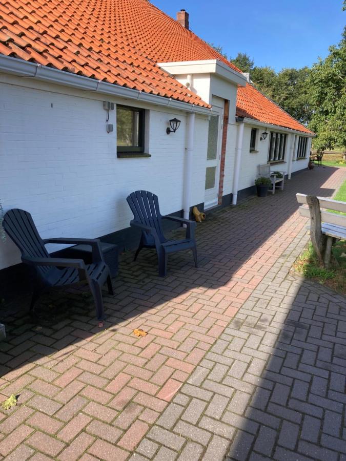 셀린겐 Bed En Breakfast Westerwolde 아파트 외부 사진
