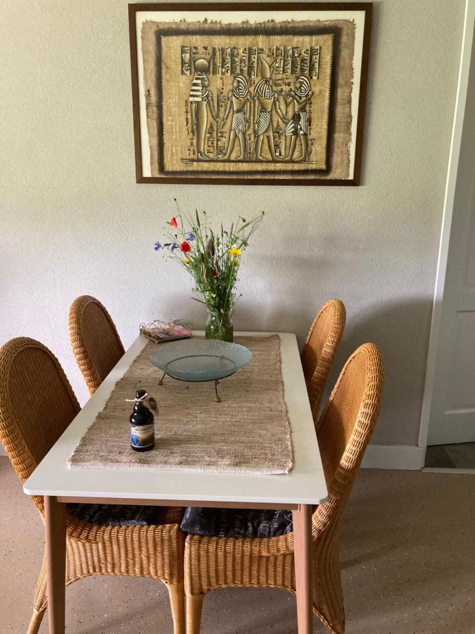 셀린겐 Bed En Breakfast Westerwolde 아파트 외부 사진