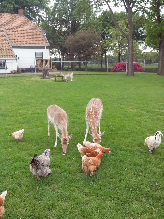 셀린겐 Bed En Breakfast Westerwolde 아파트 외부 사진